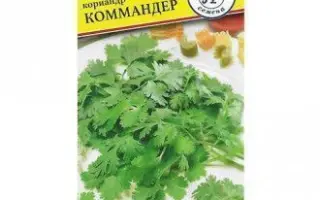 КОММАНДЕР