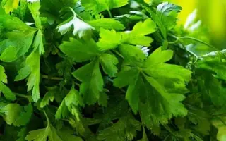 КОРОЛЬ РЫНКА