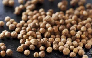 БОРОДИНСКИЙ