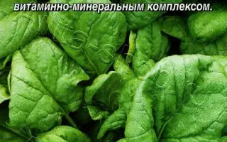 ИСПОЛИНСКИЙ