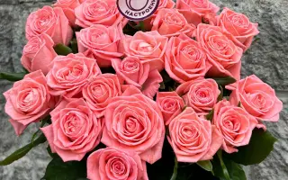 АННА ЛЕНИНГРАДСКАЯ