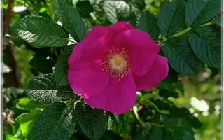 ПАМЯТИ ГАСАНОВА