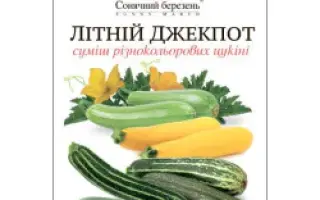 СНЕЖНАЯ КОРОЛЕВА