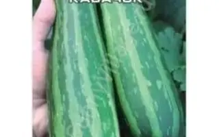 ХРУСТЯЩИЙ ПОЛОСАТИК