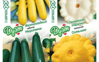 ЛЕТАЮЩАЯ ТАРЕЛКА