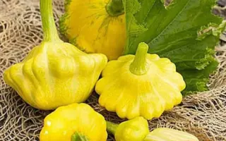 САНИ ДЕЛАЙТ