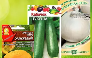 НЛО ОРАНЖЕВЫЙ