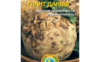 ГИАНТ ДАНИШ