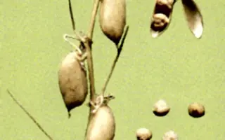 КРАСНОКУТСКИЙ 28