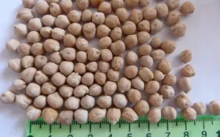 КРАСНОКУТСКИЙ 36