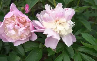 УФИМСКИЙ ВАЛЬС