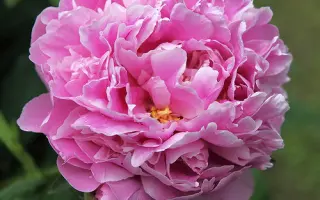 МУСТАЙ КАРИМ