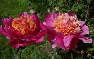 ШАХТЕРСКИЙ ОГОНЕК