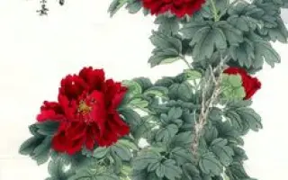 ЯПОНСКИЕ МОТИВЫ