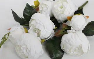 ВДОХНОВЕНИЕ