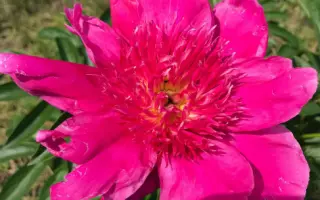 ПАМЯТИ ВЛАДА