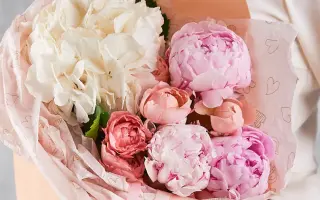 УТРЕННИЙ РАССВЕТ