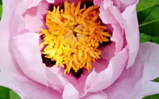 ВАДИМ ТИХОМИРОВ