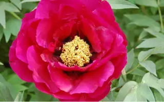 ВЛАДИМИР НОВИКОВ