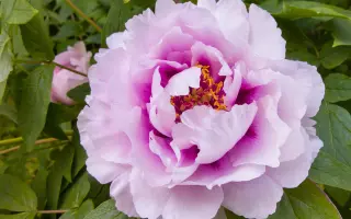 СЕРГЕЙ УСПЕНСКИЙ