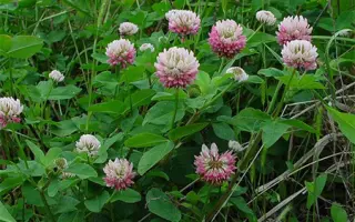 СЕВЕРОДВИНСКИЙ 326