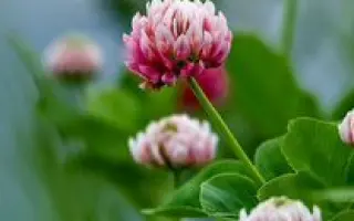 КРАСНОУФИМСКИЙ 882