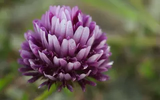 ПРИМОРСКИЙ 28