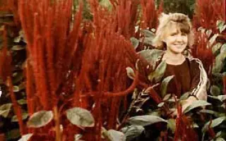 ЧЕРГИНСКИЙ