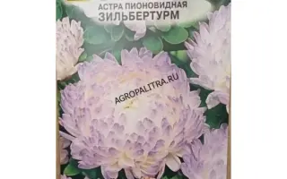 ЗИЛЬБЕРТУРМ