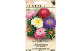 НОСТАЛЬГИЯ