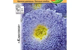 ХАВСКАЯ ГОЛУБАЯ