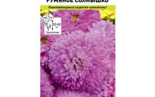 РУМЯНОЕ СОЛНЫШКО