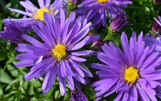 ГОЛУБАЯ ЛАГУНА