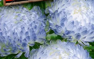 СЕРЕБРЯНАЯ БАШНЯ