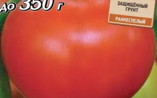 КОРАЛЛОВЫЙ РИФ