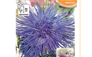 ЗВЕЗДНЫЙ ЖЕМЧУГ