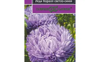 ЛЕДИ КОРАЛЛ СВЕТЛО-СИНЯЯ