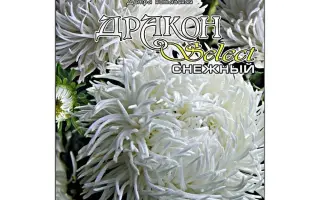 ДРАКОН СНЕЖНЫЙ