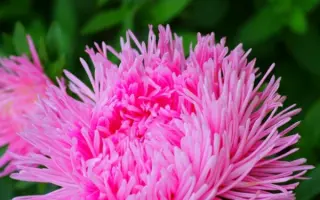 ТАТЬЯНИН ДЕНЬ