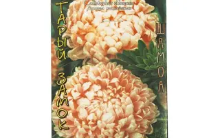 СТАРЫЙ ЗАМОК ШАМОА