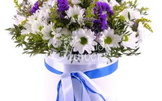 МОРСКАЯ ПЕНА