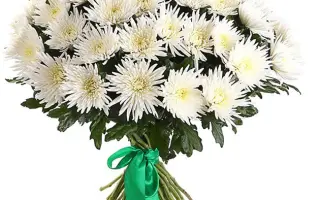 ЗИМНЕЕ УТРО