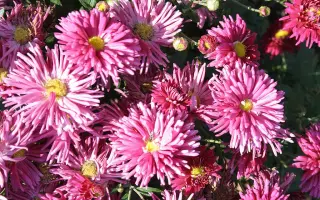 УРАЛЬСКАЯ ОСЕНЬ