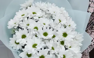 НЕЖНАЯ МУЗА