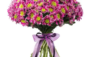 ЗВЕЗДА ЗАВЕТНАЯ