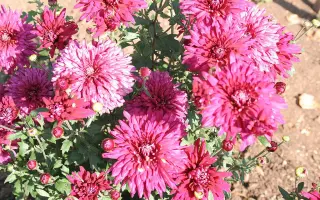 ПОДАРОК УФИМЦАМ