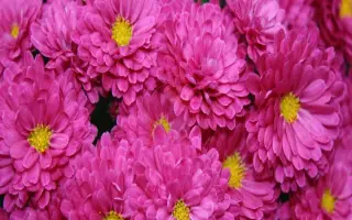 ВДОХНОВЕНИЕ