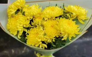 ТАТЬЯНИН ДЕНЬ