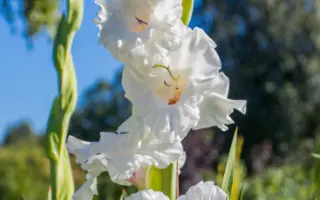 ПЕРМСКИЙ СУВЕНИР