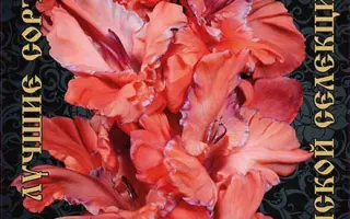 ВОЛНИСТАЯ БАХРОМА